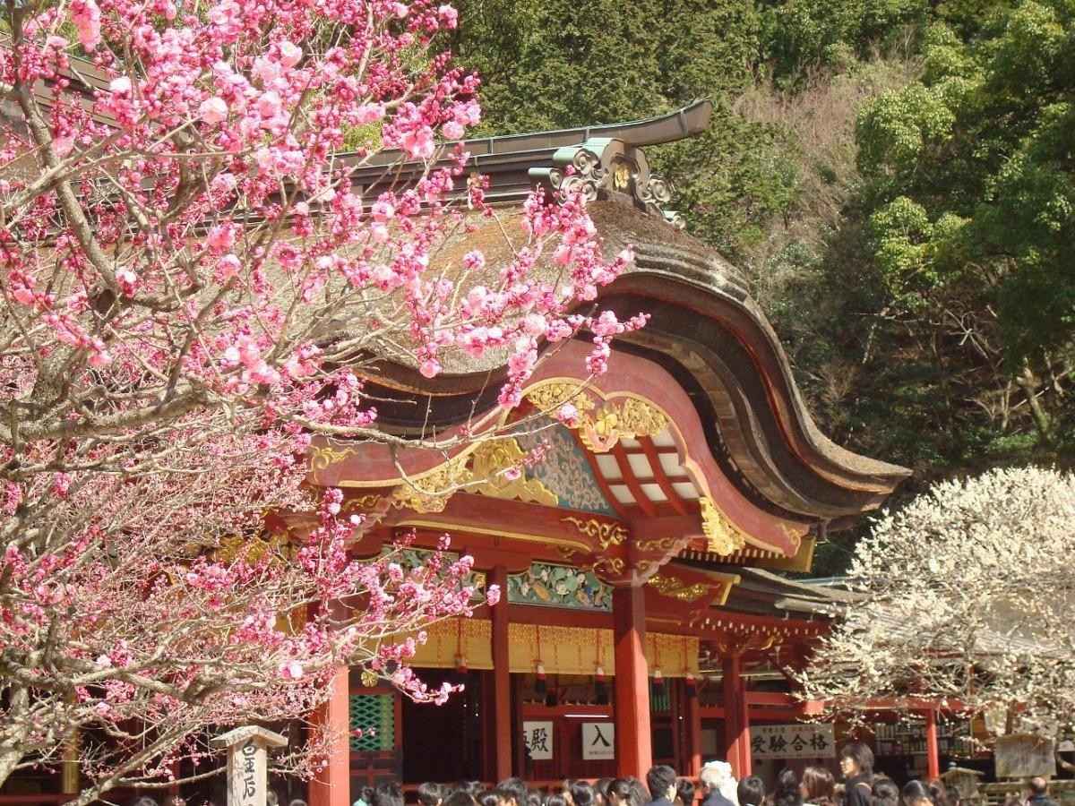 Dazaifu Tenmangu Shrine | The Most Beautiful Shrine in Fukuoka