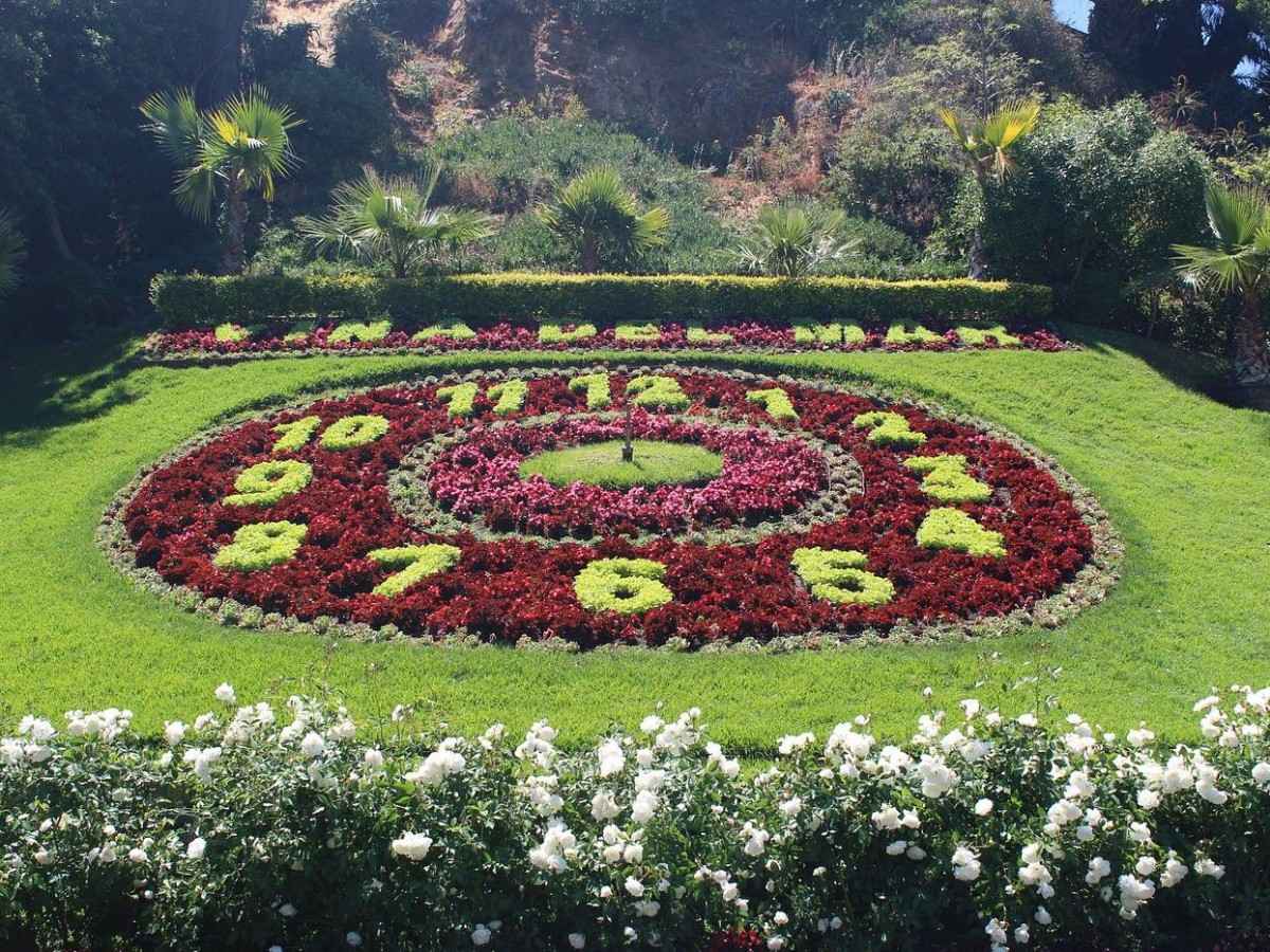 Here are all the best times to visit Flower Clock and photo tips!