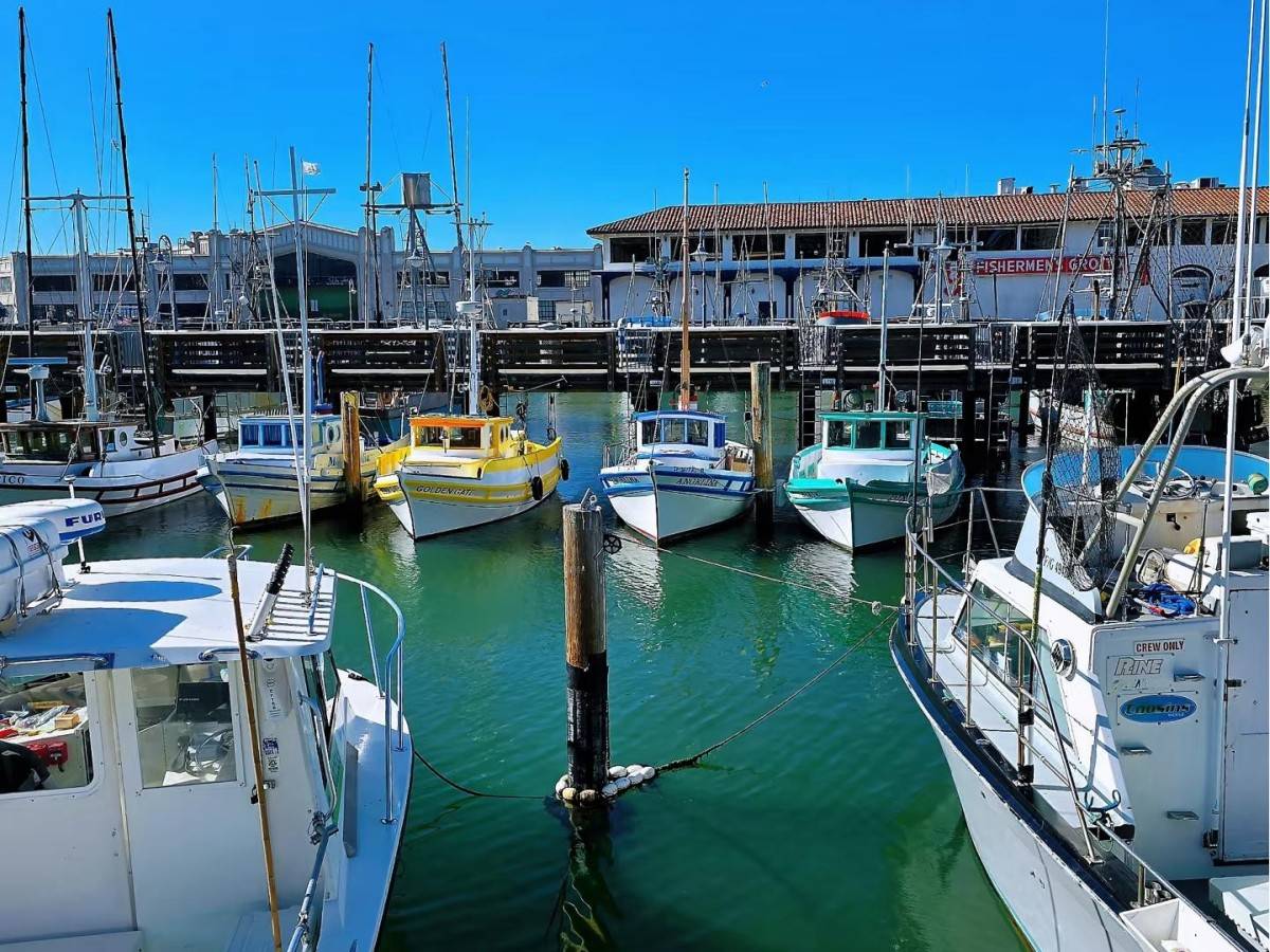 San Francisco's Classic Bay Landmarks!