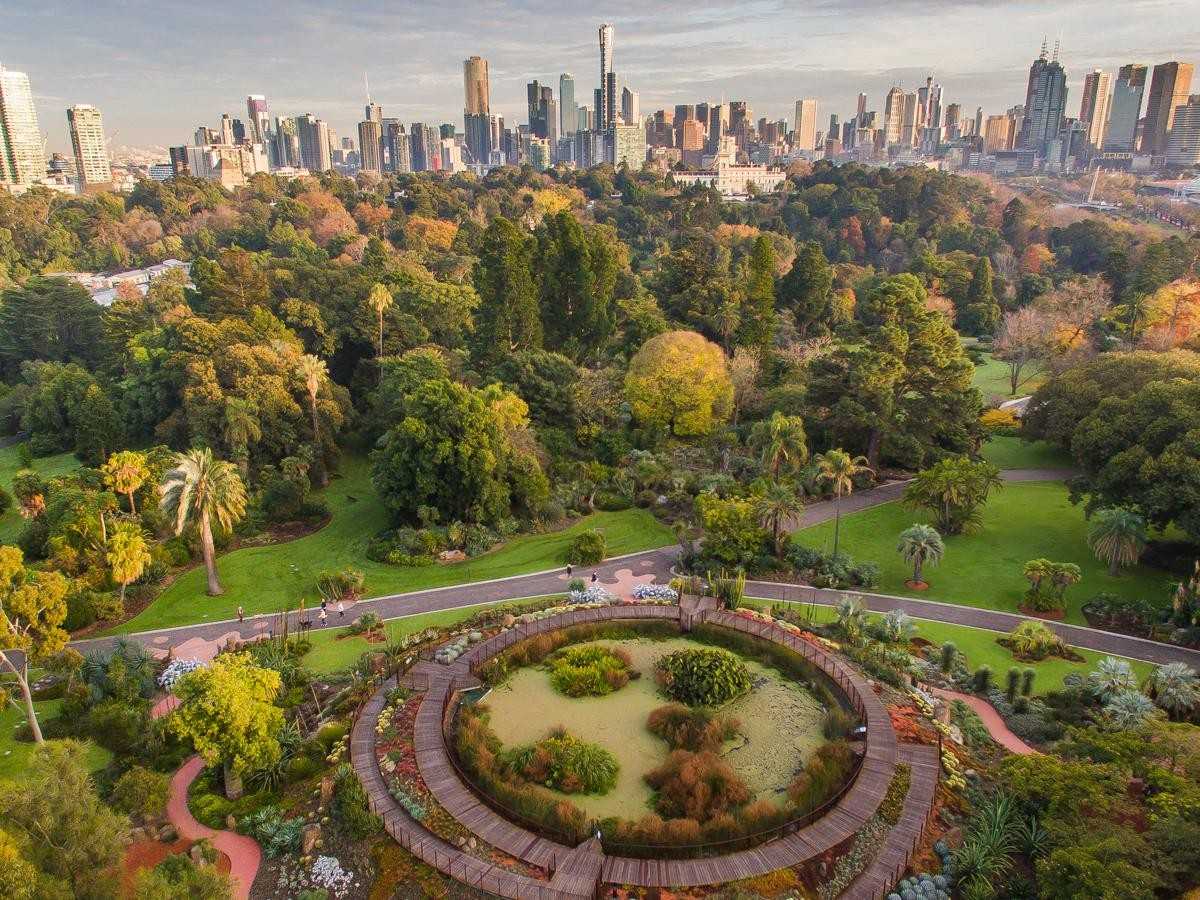 Morning walk in the Royal Botanic Gardens: Enjoy the quiet time in nature
