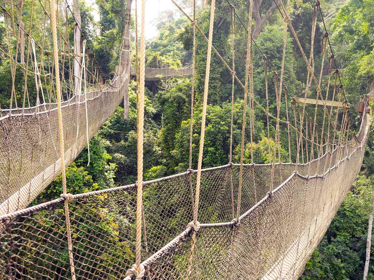 Kakum National Park: Ghana's Cultural and Environmental Treasure