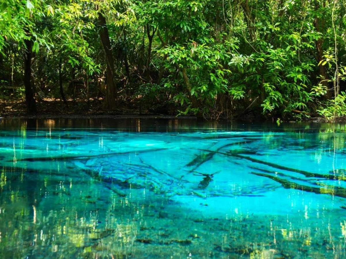 The Secret of Natural Emerald Spring Water: Why Sa Morakot is So Ethereal