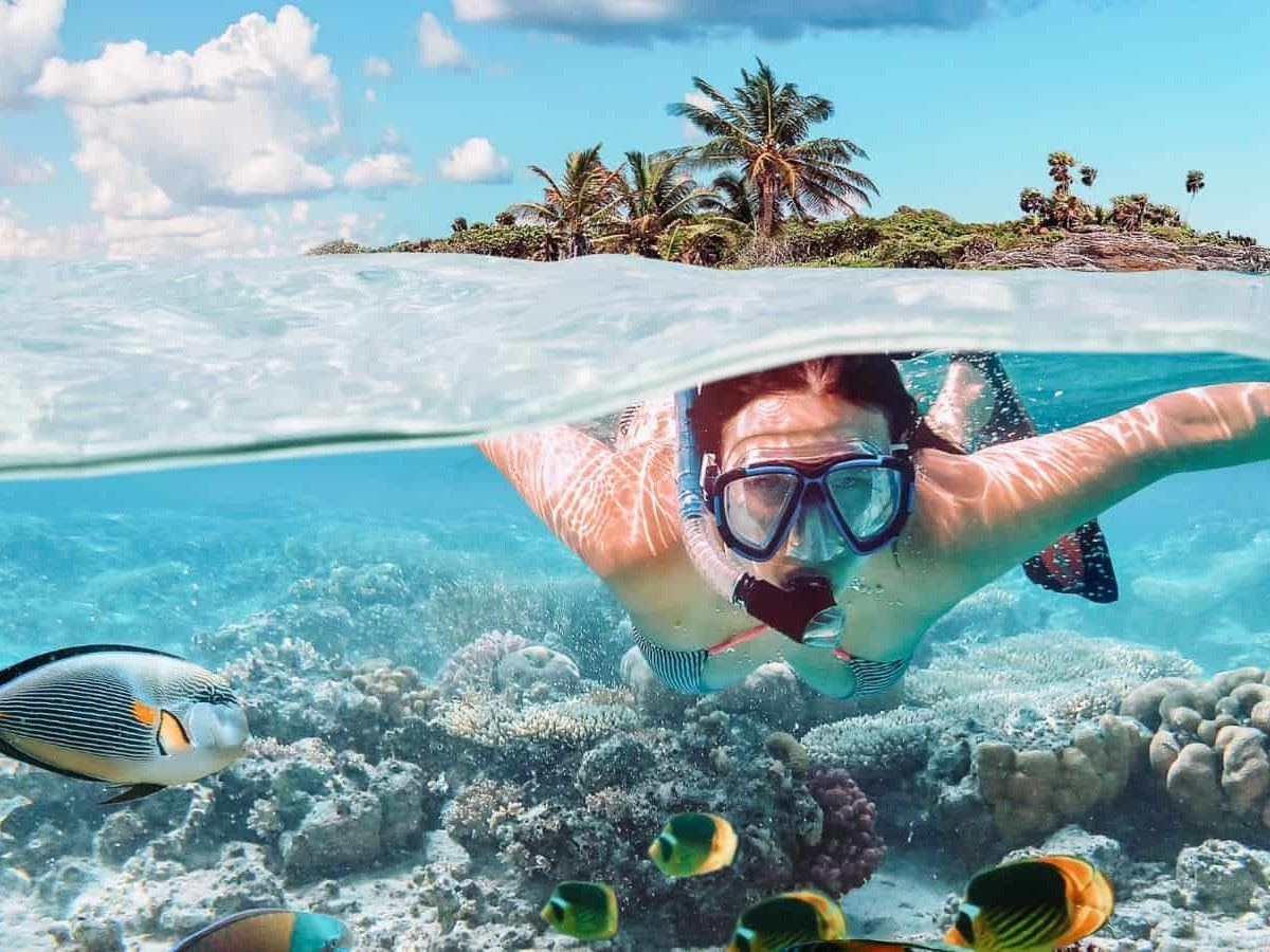 One trip, two views: a perfect guide to the beach and Fringing Reef