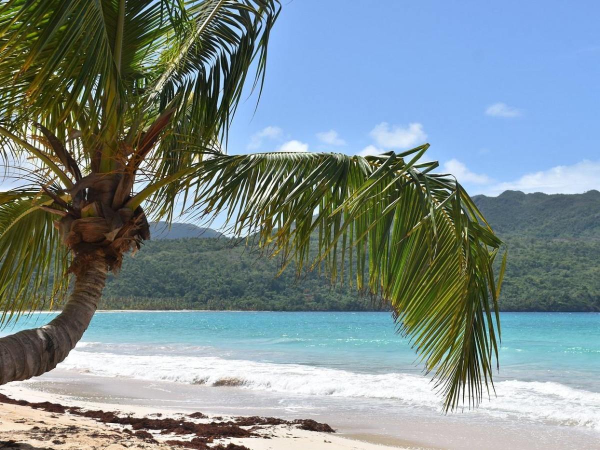 Paradise Behind the Palm Trees: A Full-Day Journey to Playa Rincon