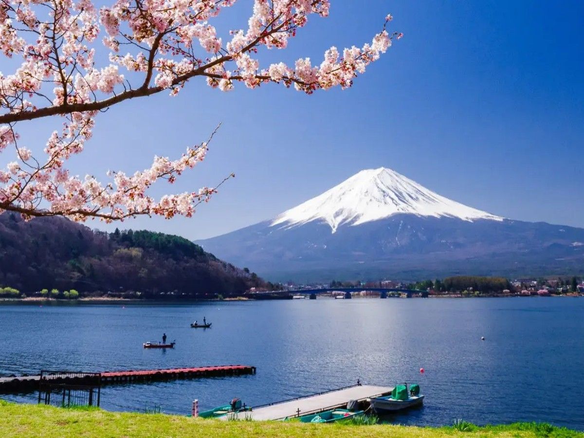 A must-see for traveling to Lake Kawaguchi!
