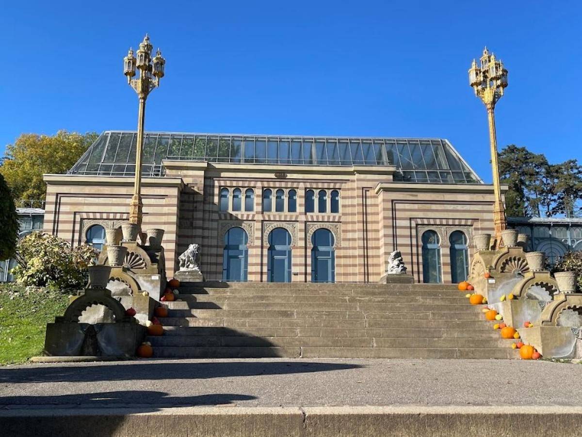 Wilhelma Zoo and Botanical Garden: A must-visit for nature lovers!