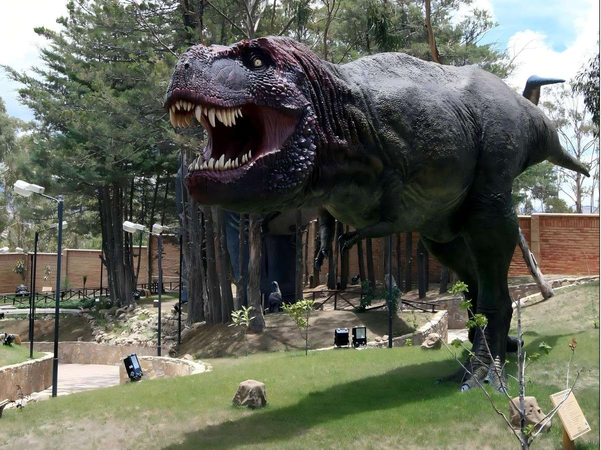 Walking with Dinosaurs: Exploring the Fossilized Footprints of Parque Cretacico