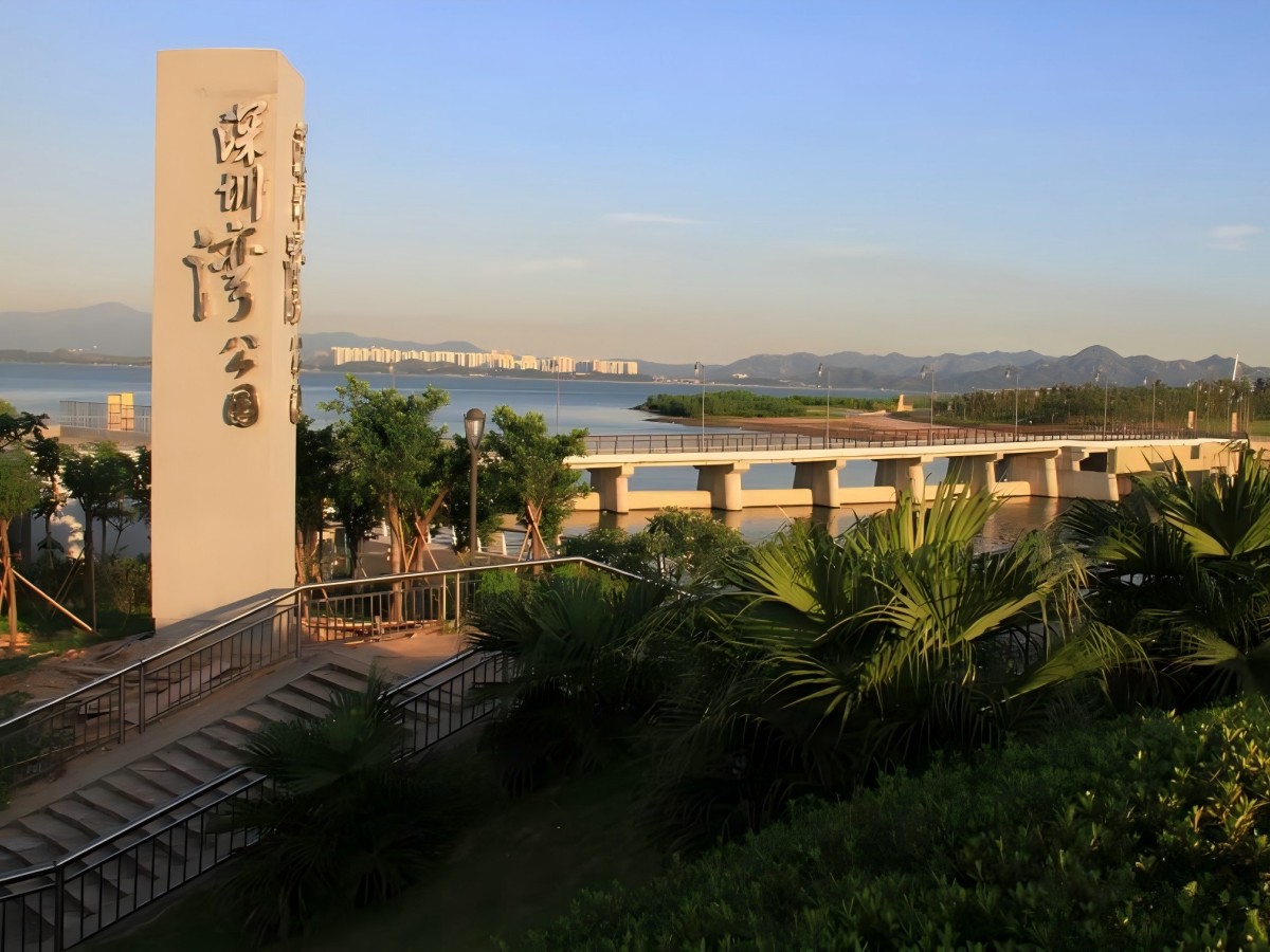 Shenzhen Bay Park: an urban green center where nature and innovation mingle