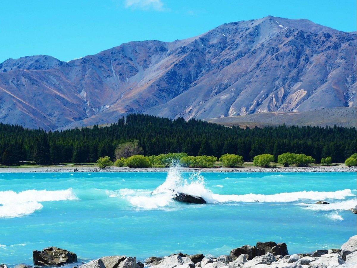 A Day on the Volcanic Lake: Lake Taupo One-Day Experience Guide