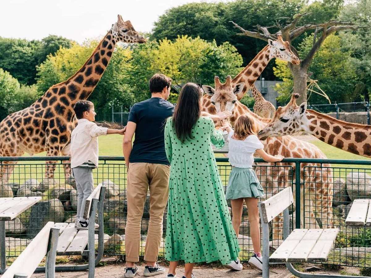 What interactive experiences can't be missed at Aalborg Zoo?