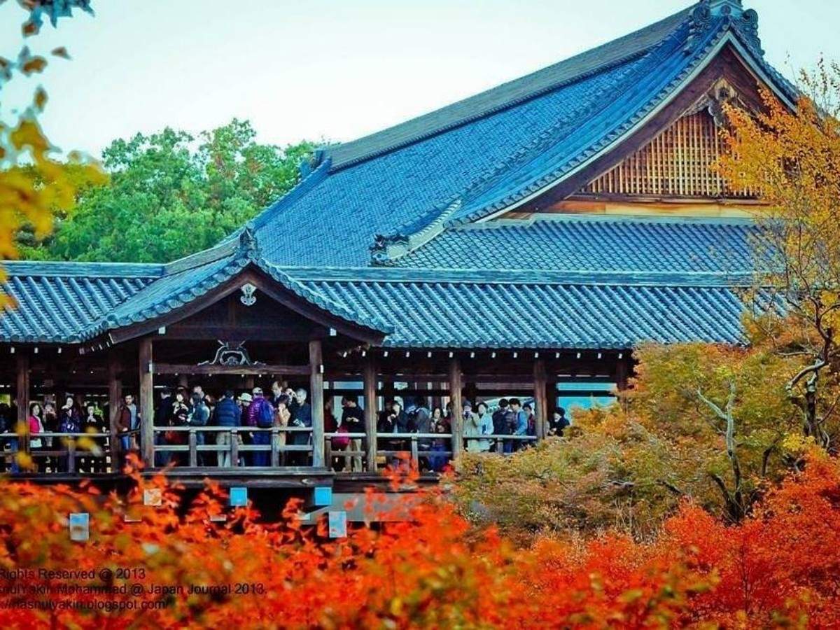 How to enjoy Tofuku-ji Temple without wasting the ticket price? Must-take angles + best seasons revealed