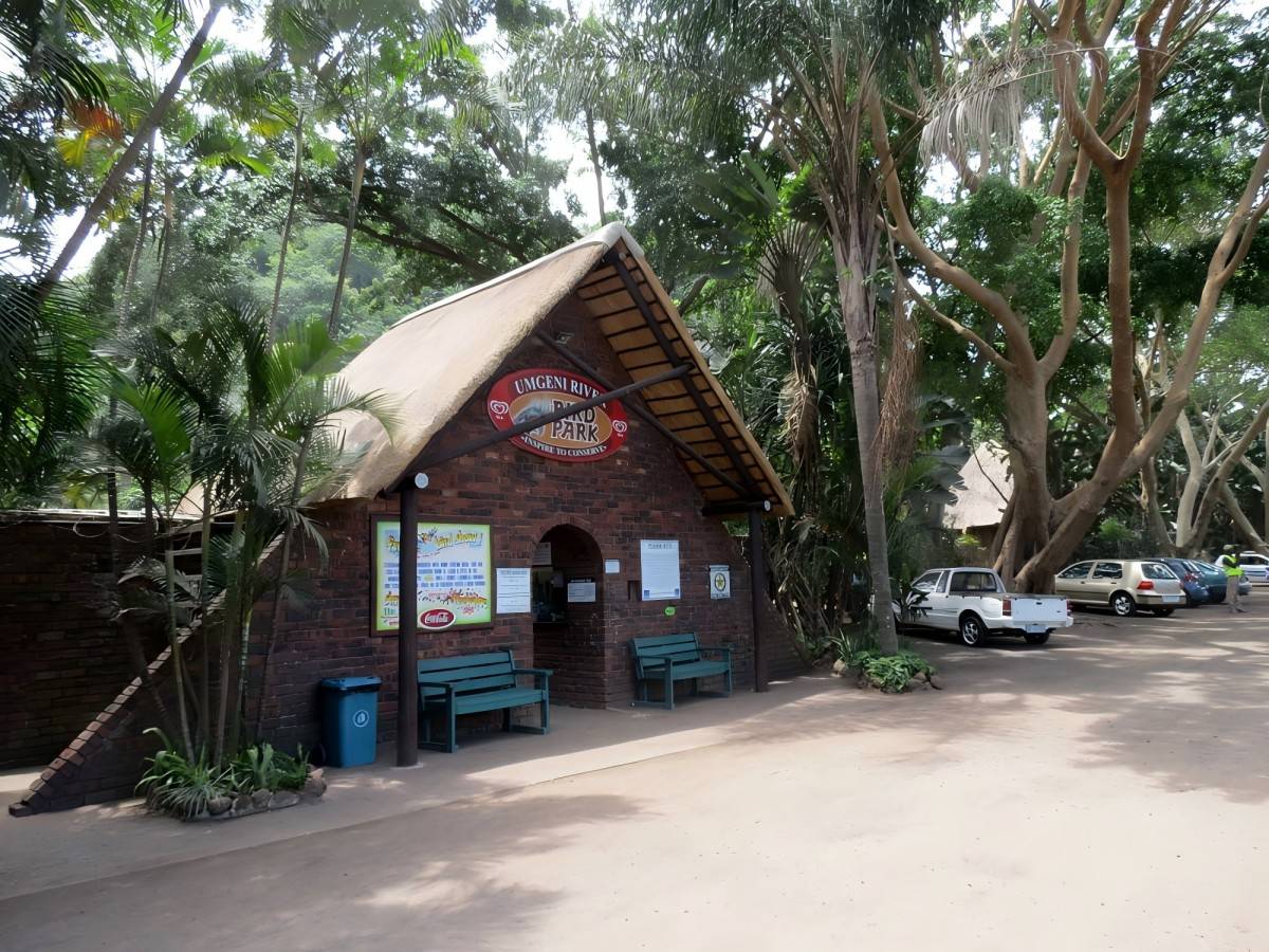 Bird Park Adventure: A Colorful World Tour of Umgeni River Bird Park