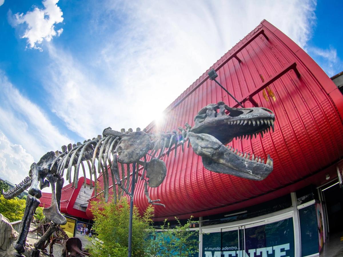 Parque Explora Tips: How to Fully Experience the Aquarium and Science Center