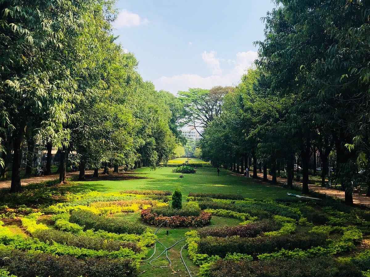 Cubbon Park：Explore Bengaluru's green oasis