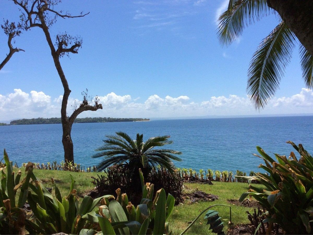 From Mangroves to Waterfalls: A Comprehensive Guide to Samana Bay's Hidden Trails
