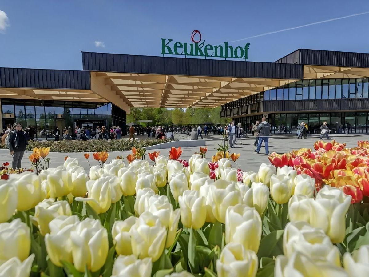 Flowering period limit beauty! Keukenhof flower appreciation guide
