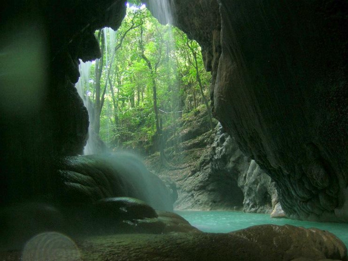 Somerset Falls Guide: The perfect encounter between waterfall secrets and tropical rainforests!