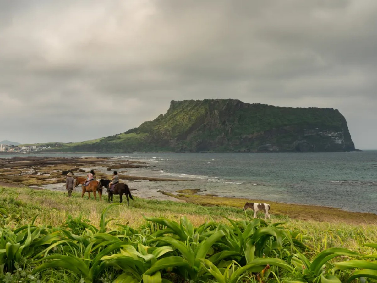If you come to Jeju Volcanic Island, you must visit these places!