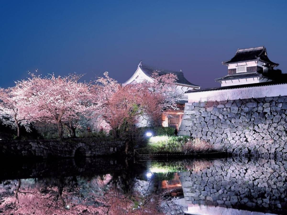 Want to travel back to the ancient city of Japan? The ruins of Fukuoka Castle are waiting for you!