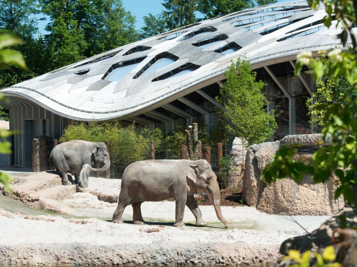 There are stories in every corner of the Zurich Zoo!