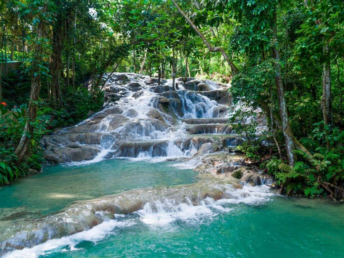 Standing on the top of the waterfall, overlooking the beautiful scenery of the Caribbean - Dunn's River Falls is waiting for you to enjoy!