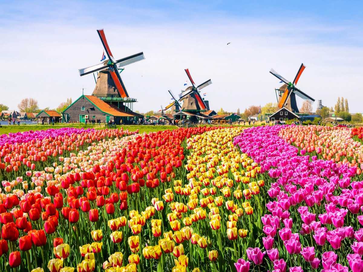 Keukenhof Gardens: The best itinerary planned for you!