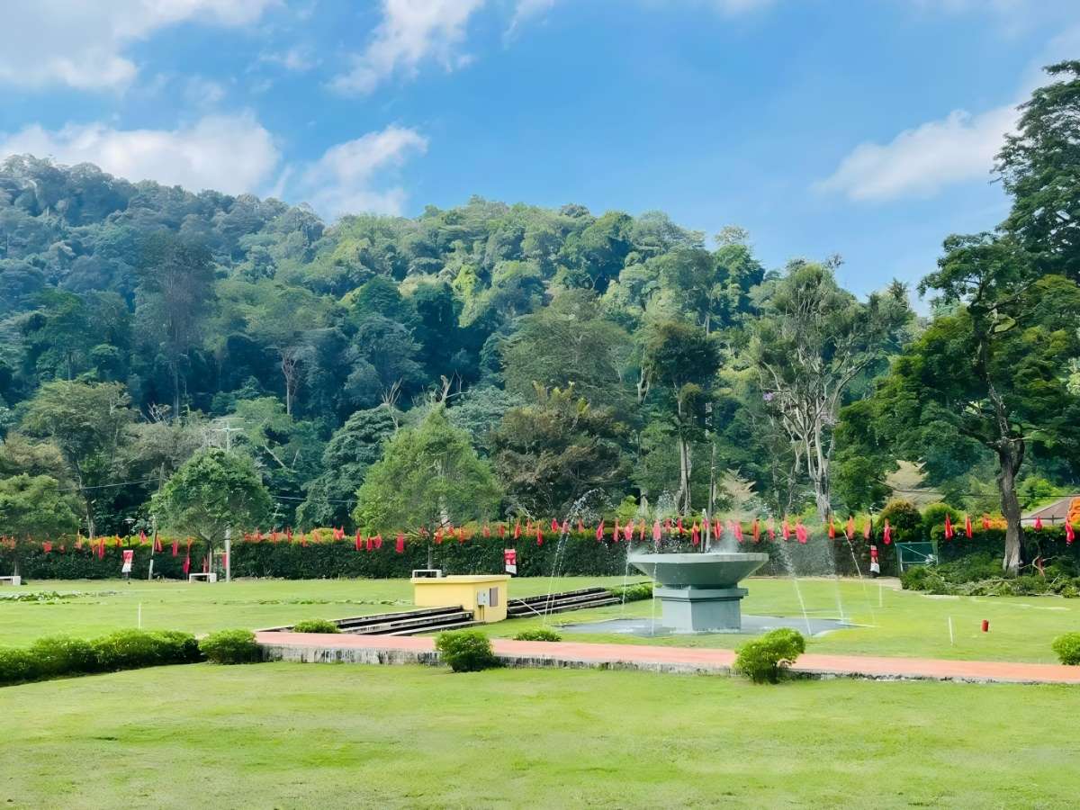 Morning jogging, yoga, flower viewing: many ways to play at Penang Botanical Gardens