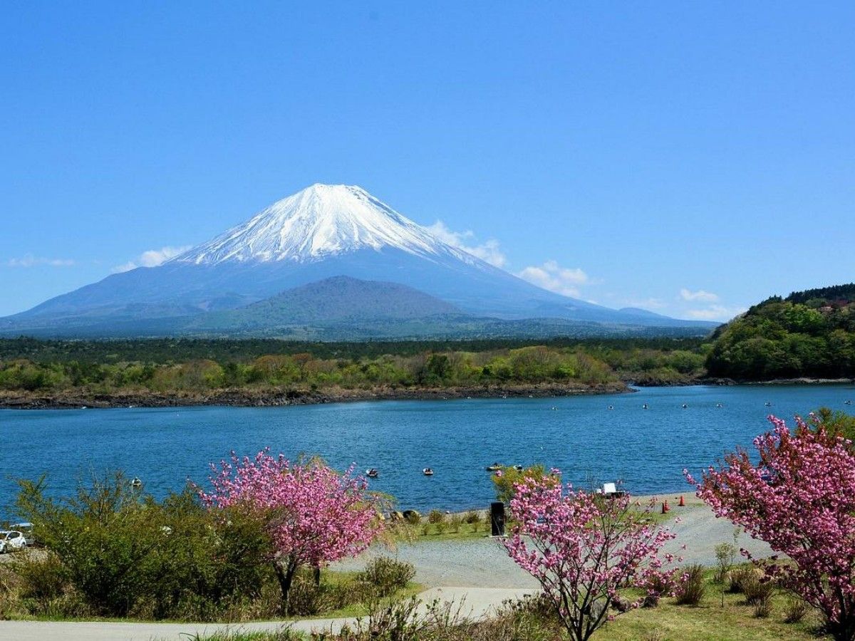 One article to let you know about Fuji Five Lakes!