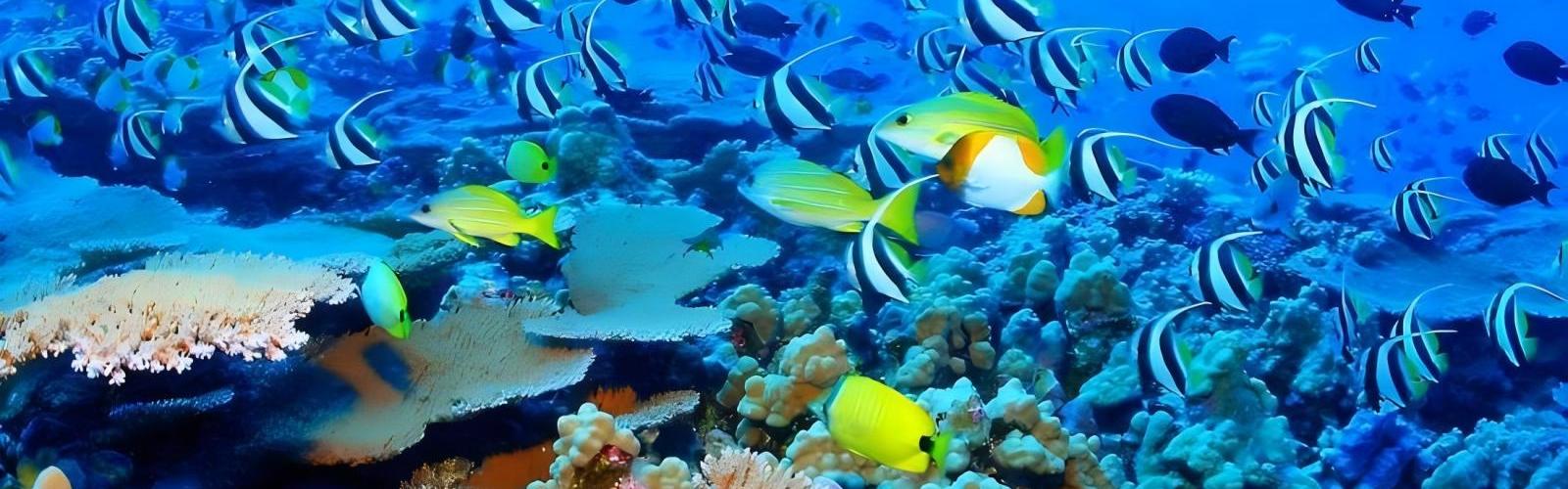 Andros Barrier Reef