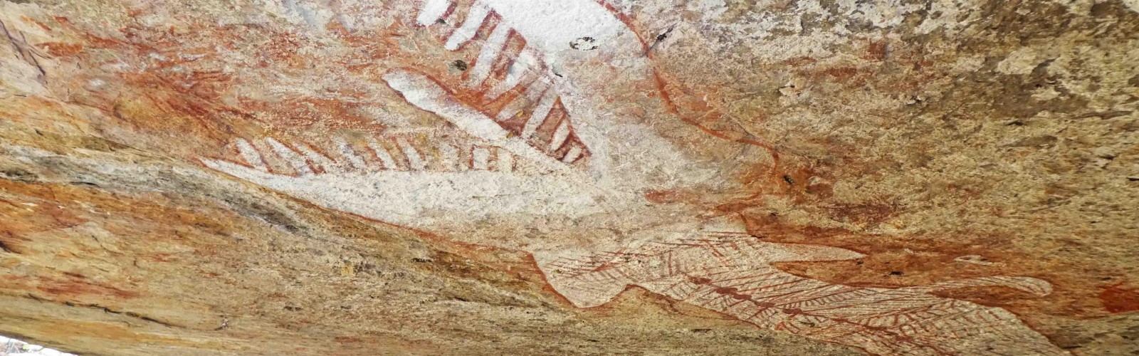 Tarn Rock Paintings