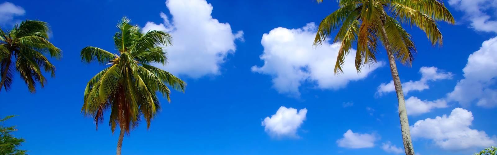 Paradise Beach