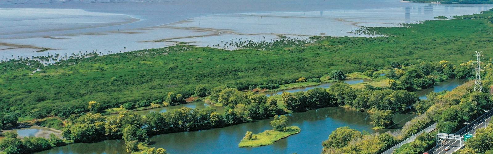 Mangrove Nature Reserve