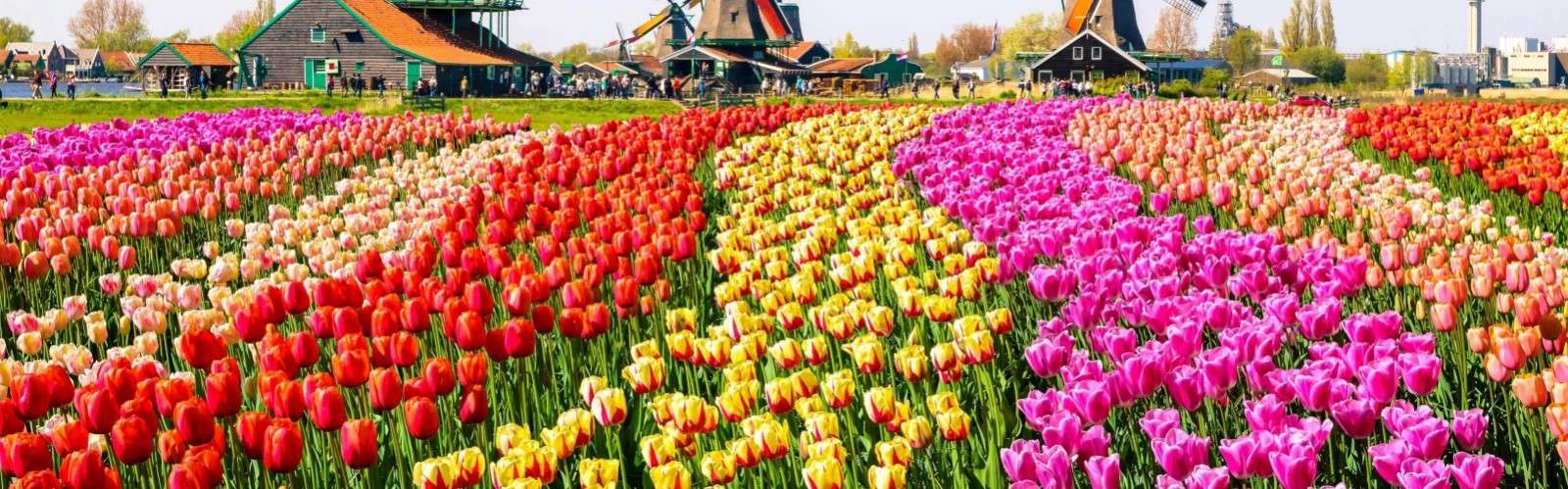 Keukenhof Gardens