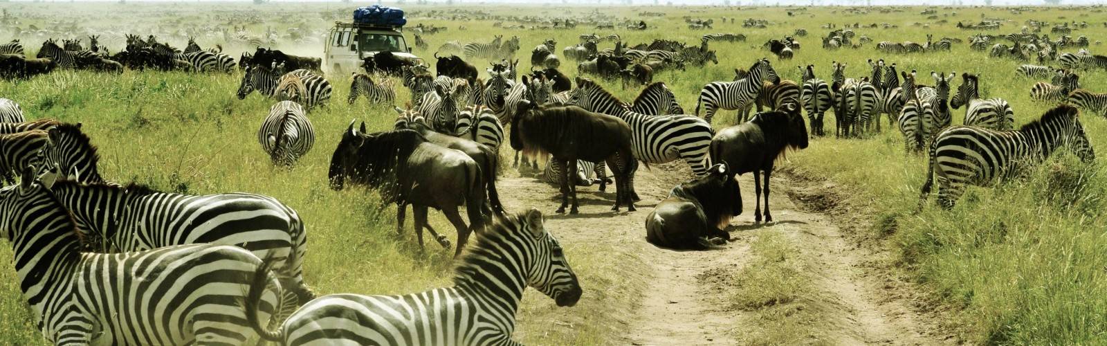 Serengeti National Park