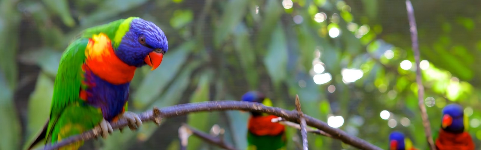 Umgeni River Bird Park