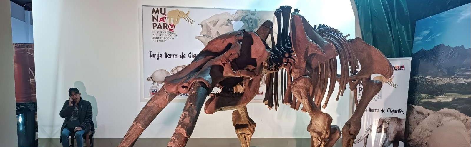 Museo de Tarija