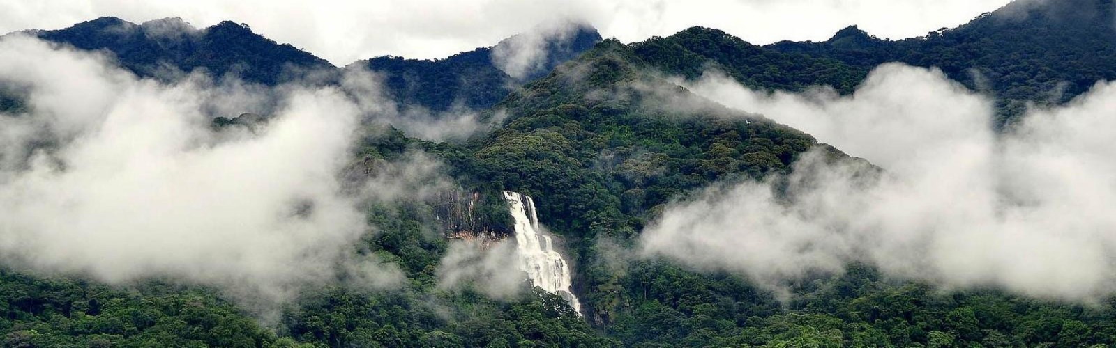 Udzungwa Mountains National Park