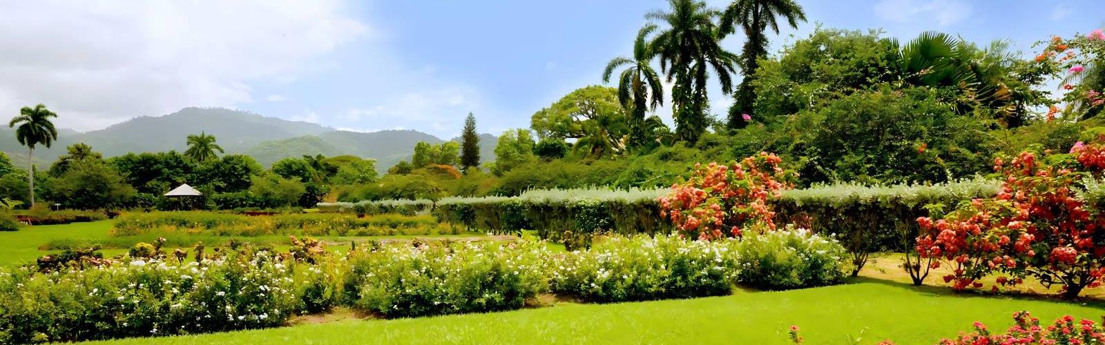Hope Gardens