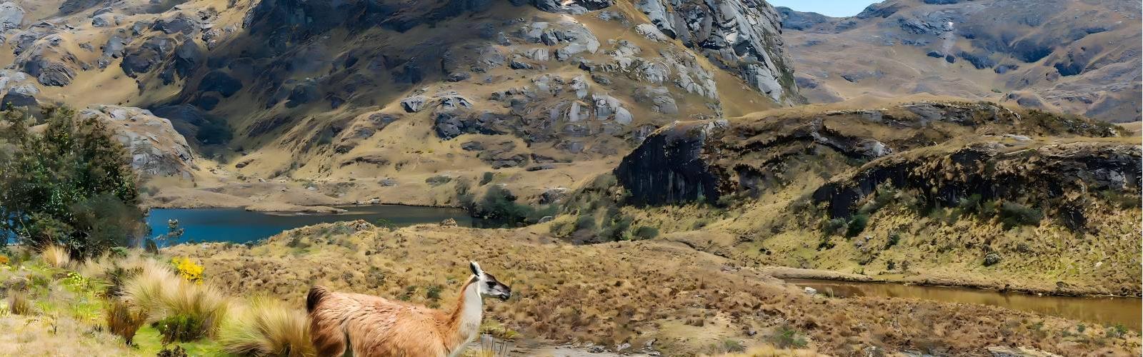 Cajas National Park