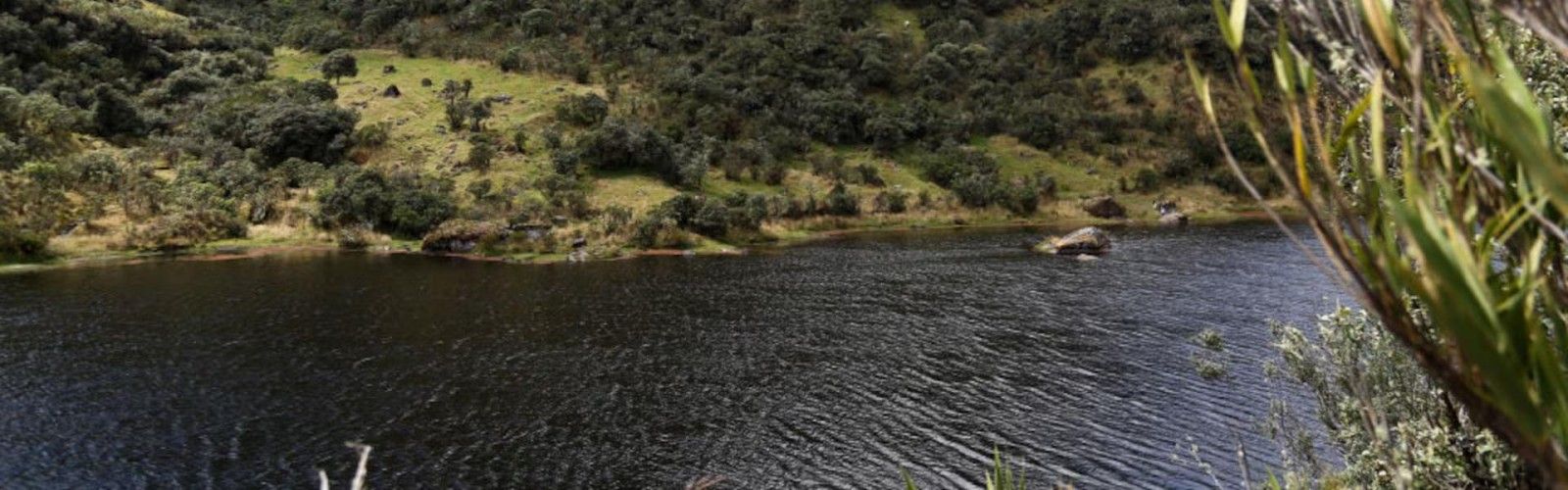 Laguna Negra