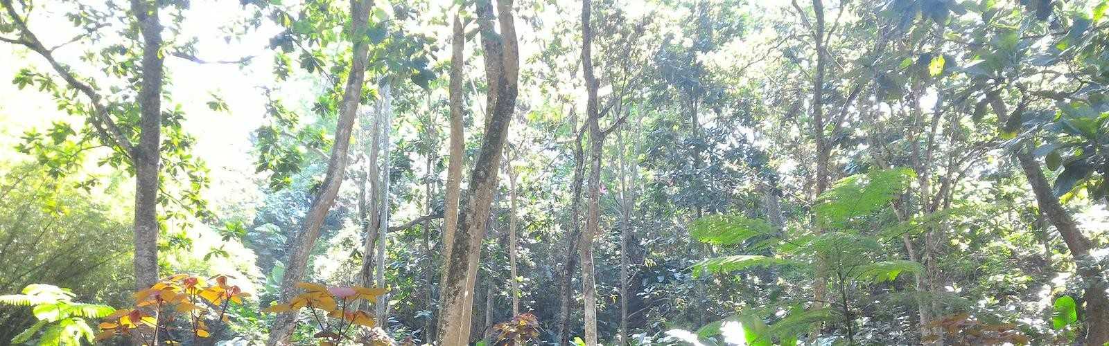 La Flora Ecological Park