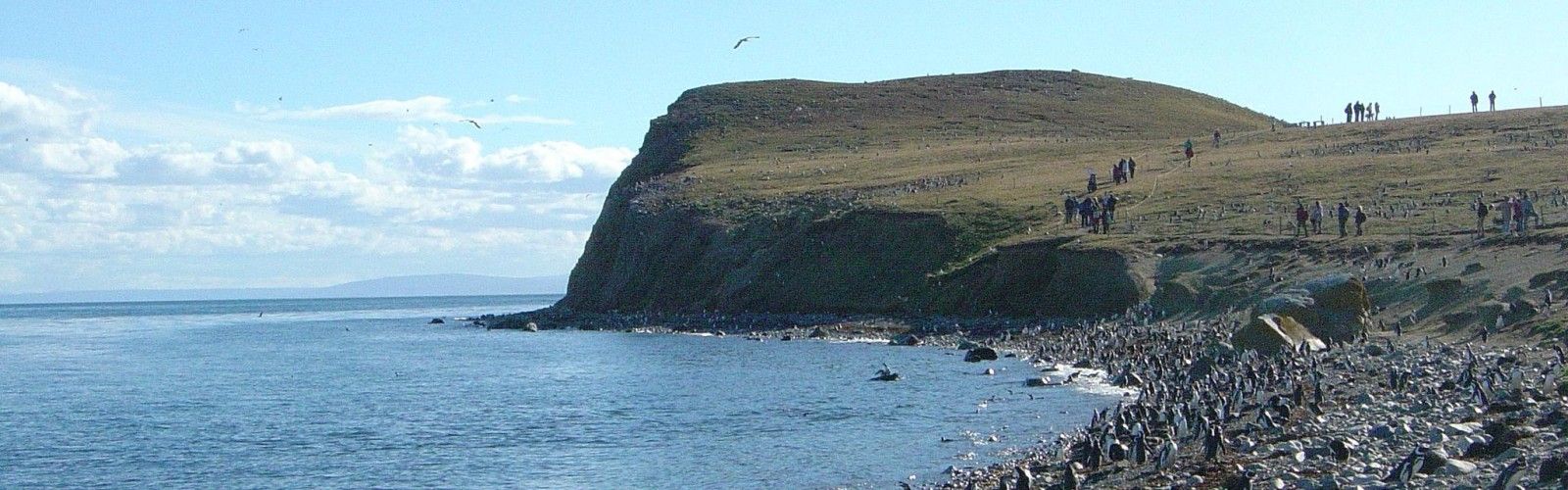 Magdalena Island