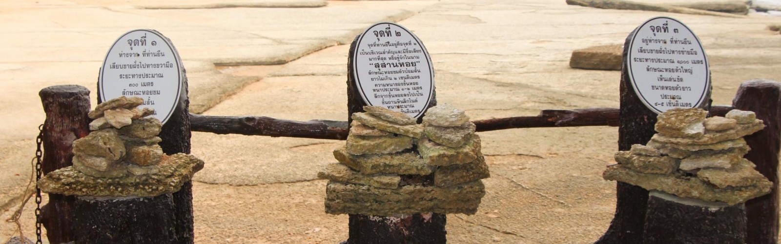 Fossil Shell Cemetery