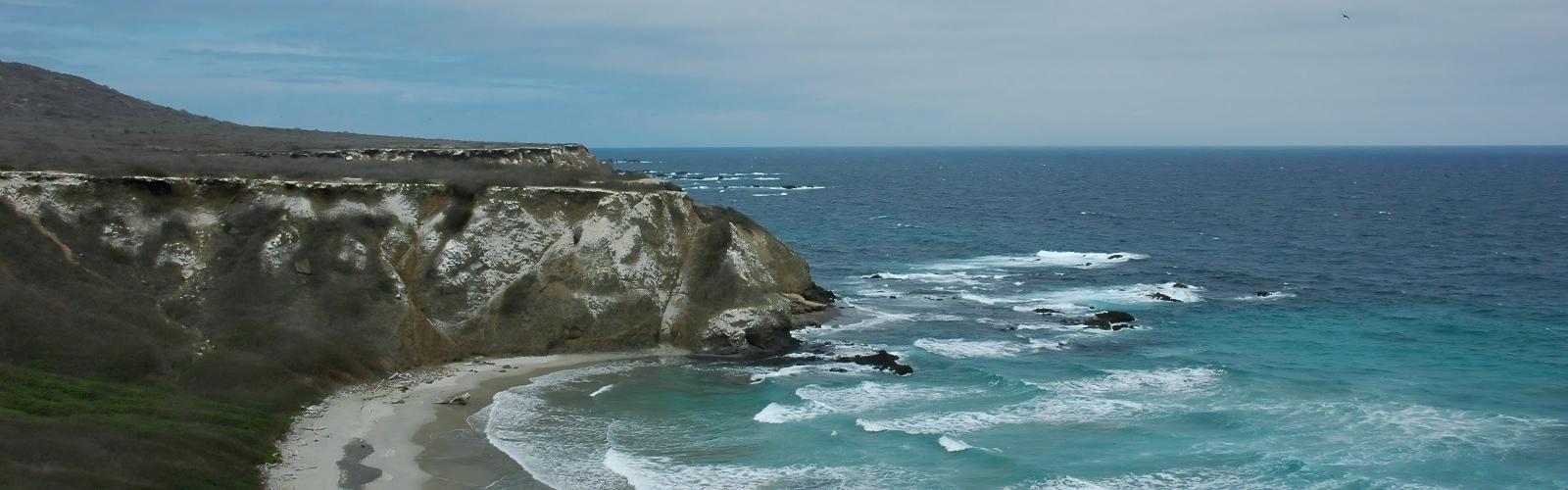 Isla de la Plata