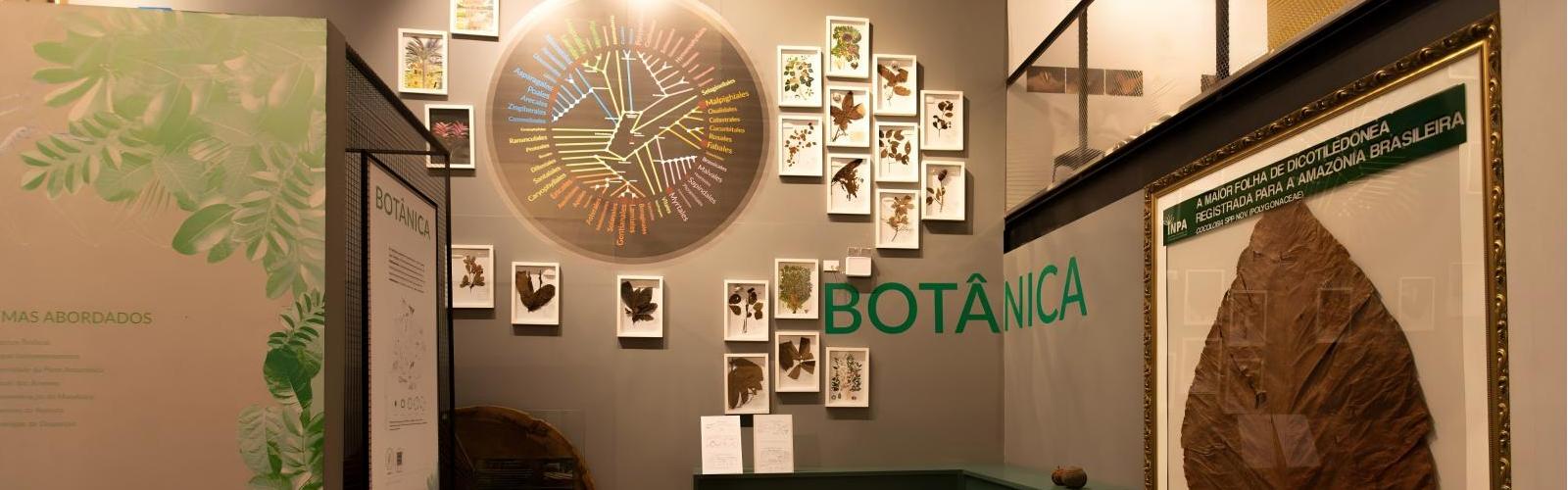 The Botanical Garden of Manaus