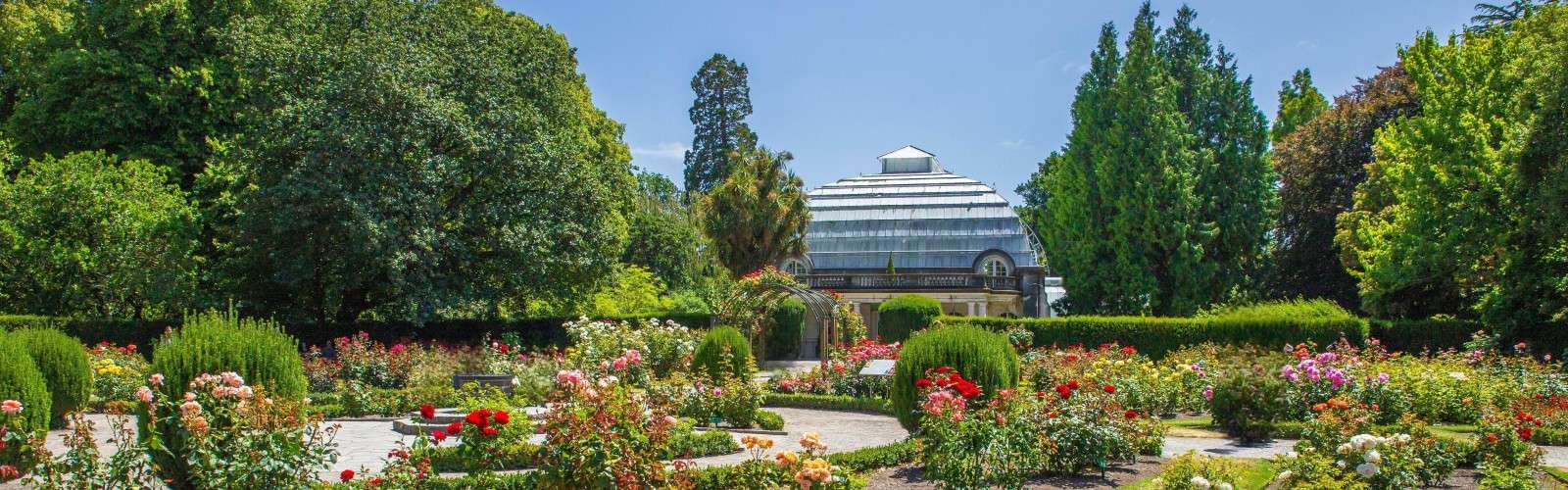 Hagley Park