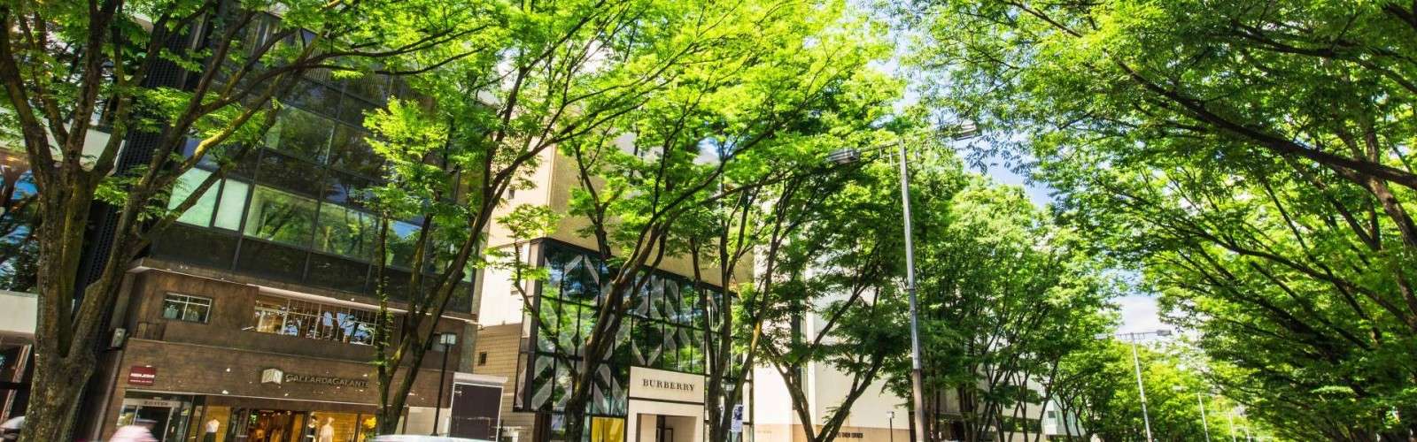 Aoyama
