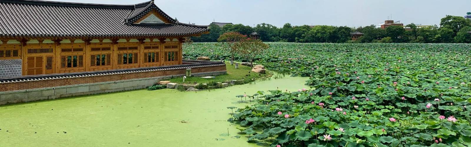 Jeonju Park