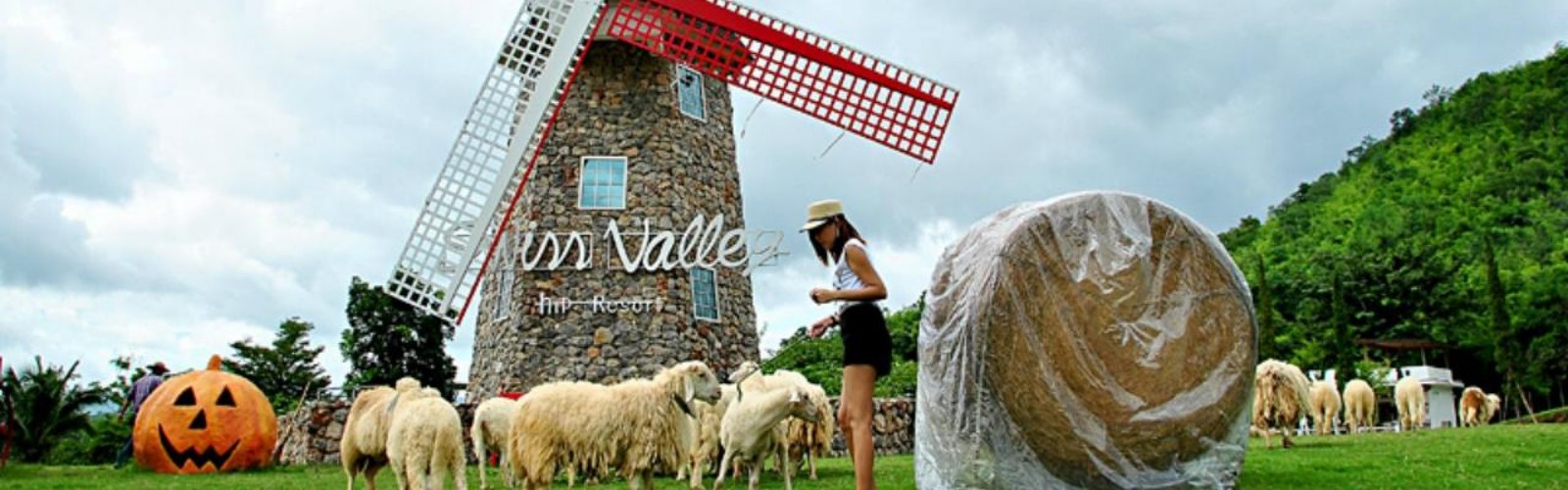 Swiss Sheep Farm