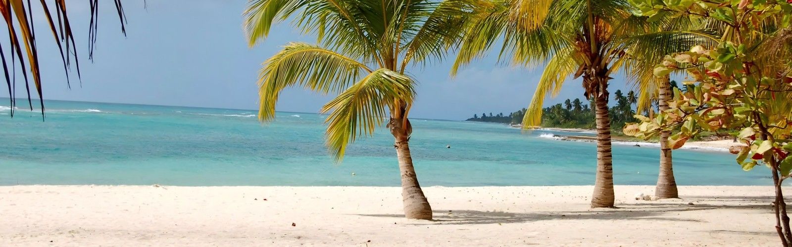 Isla Saona